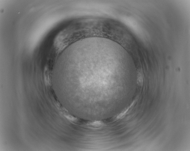 X0000072980431200608041248