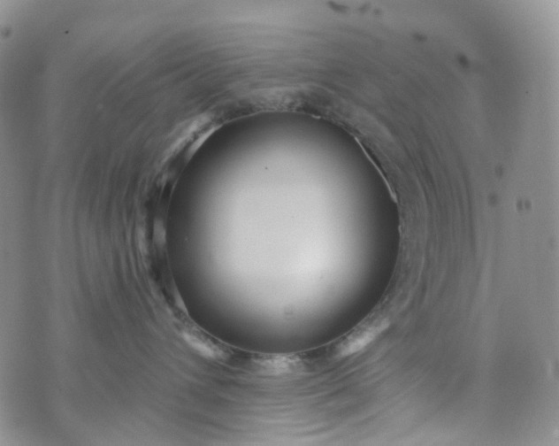 X0000072980432200608041248