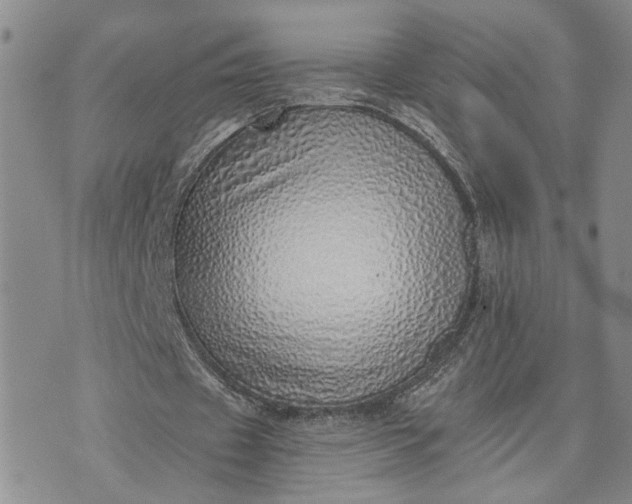 X0000072980433200608041247