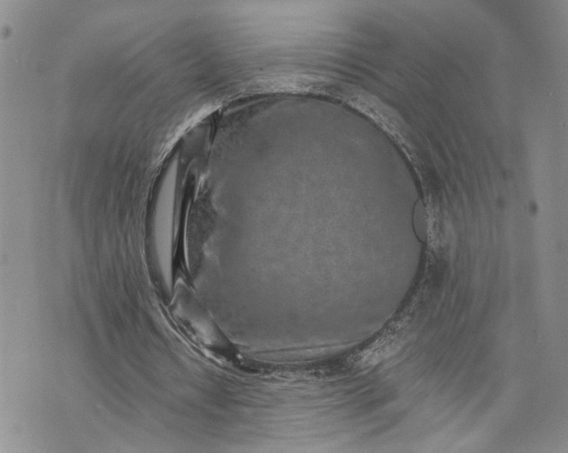 X0000072980434200608041247