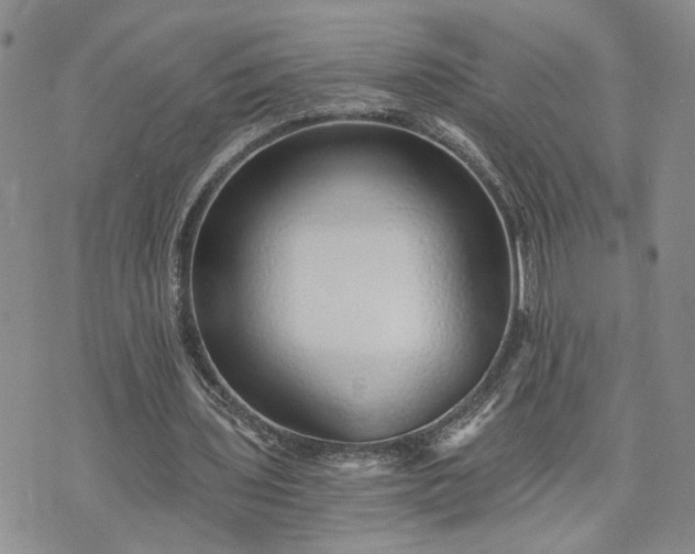 X0000072980435200608041247