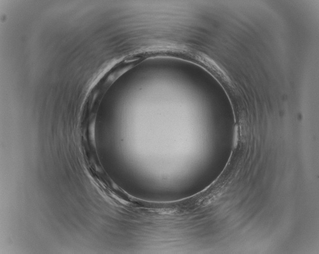 X0000072980436200608041247