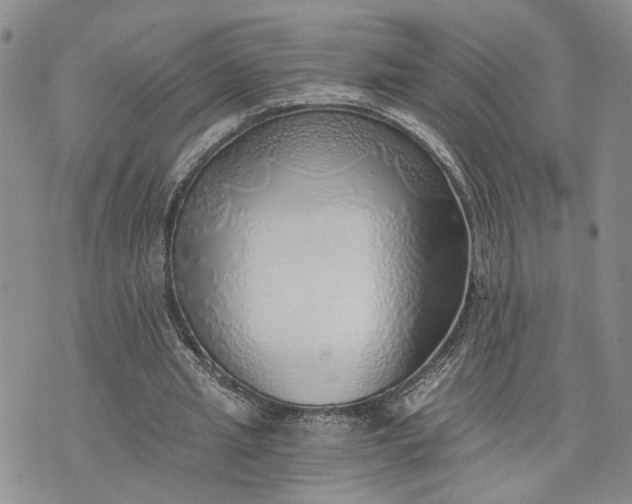 X0000072980437200608041247