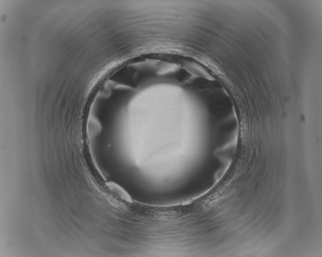 X0000072980438200608041247