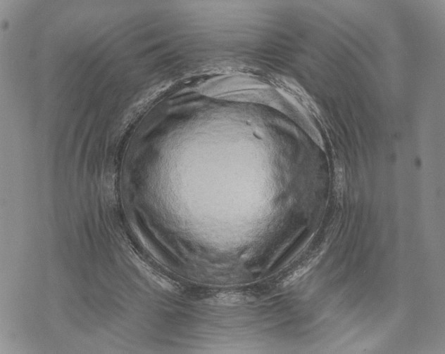 X0000072980441200608041247