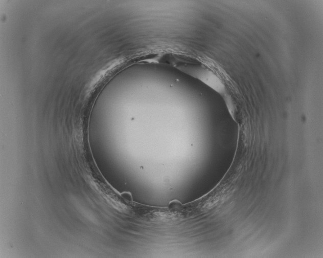 X0000072980442200608041247