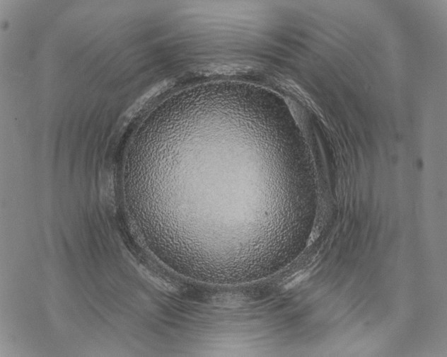 X0000072980444200608041247