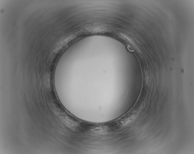 X0000072980447200608041247