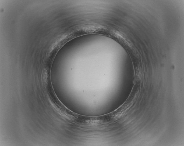 X0000072980448200608041247