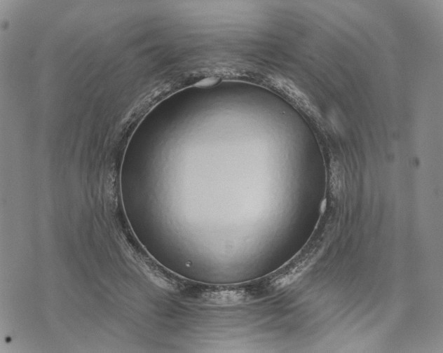 X0000072980449200608041247