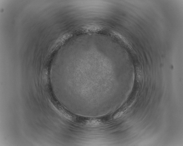 X0000072980451200608041247