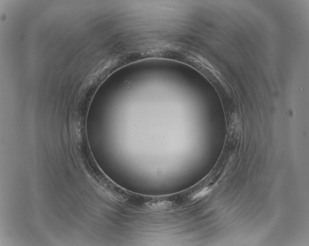 X0000072980452200608041247