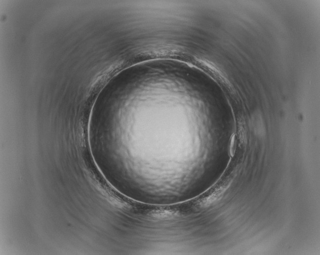 X0000072980453200608041247