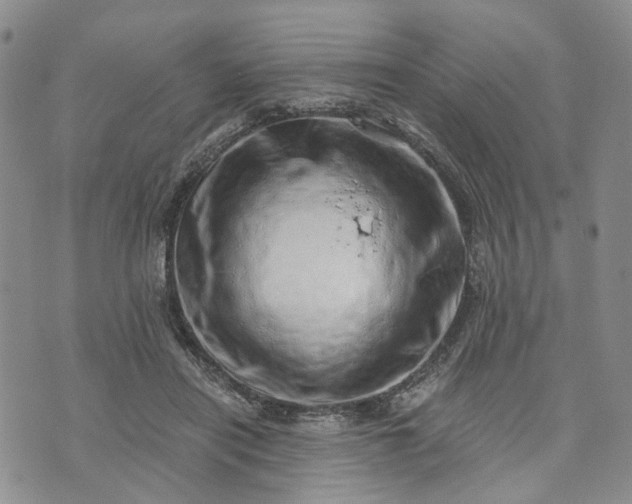 X0000072980454200608041247