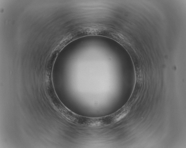 X0000072980456200608041247