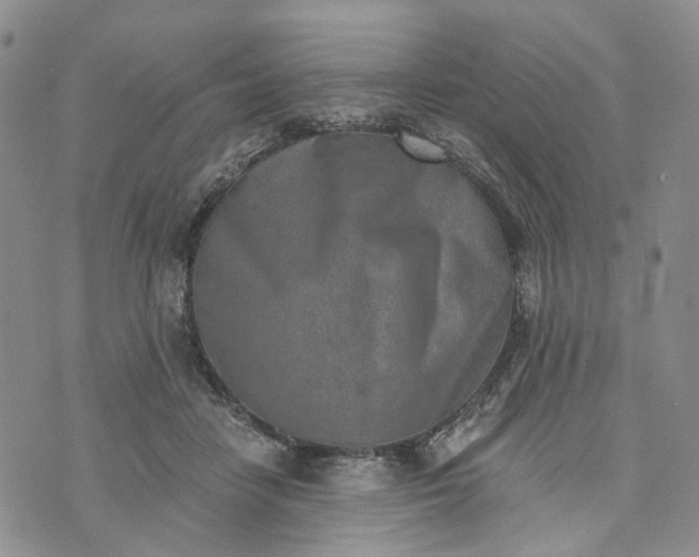 X0000072980458200608041247