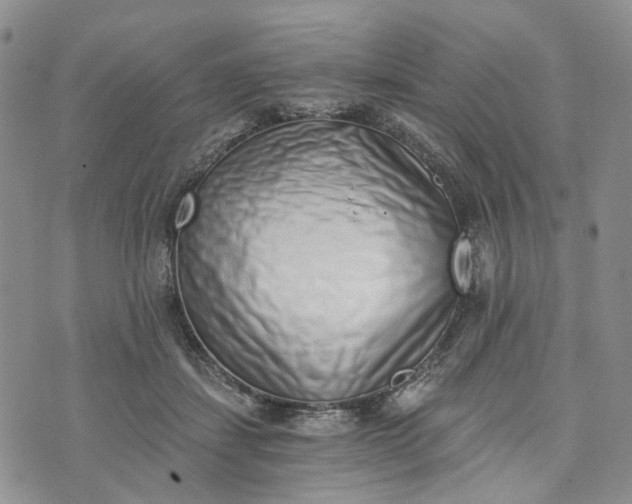 X0000072980459200608041247