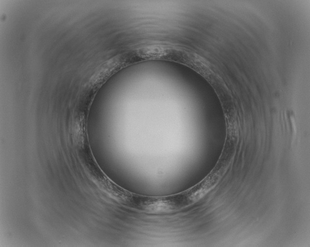 X0000072980460200608041247