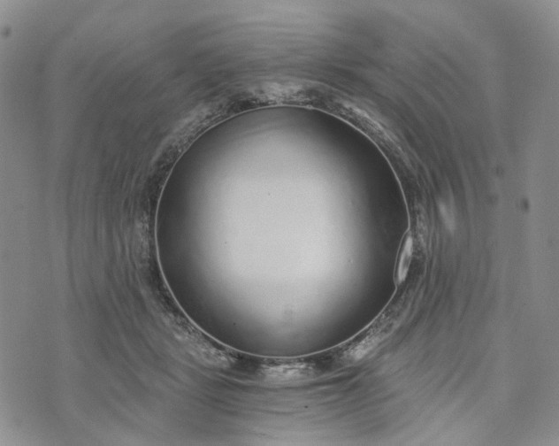 X0000072980461200608041247