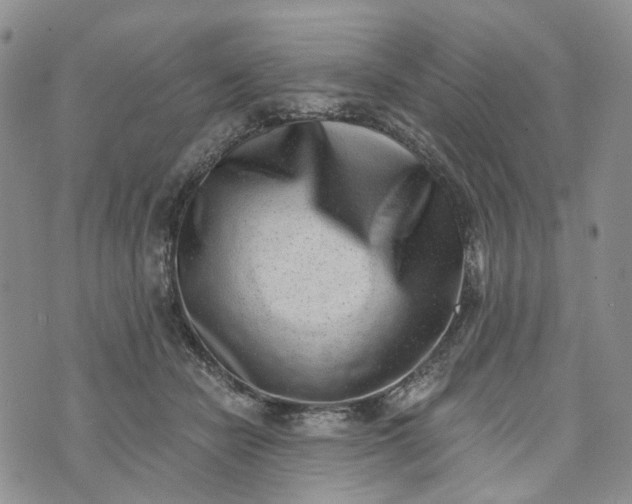 X0000072980462200608041247