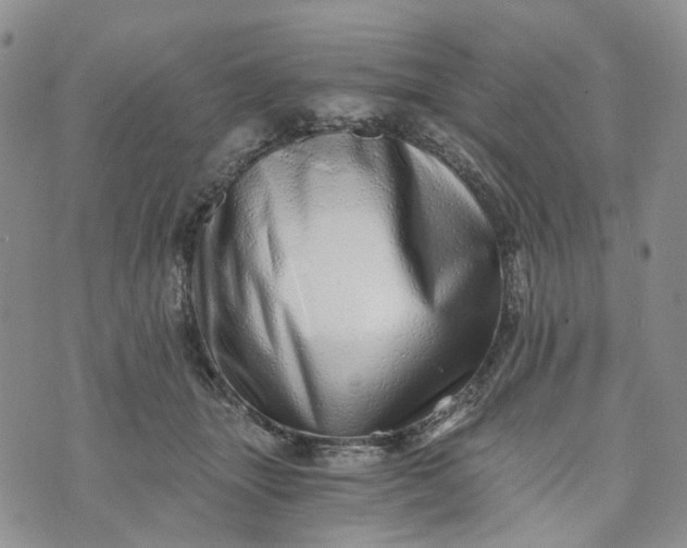 X0000072980463200608041247