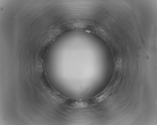 X0000072980464200608041247