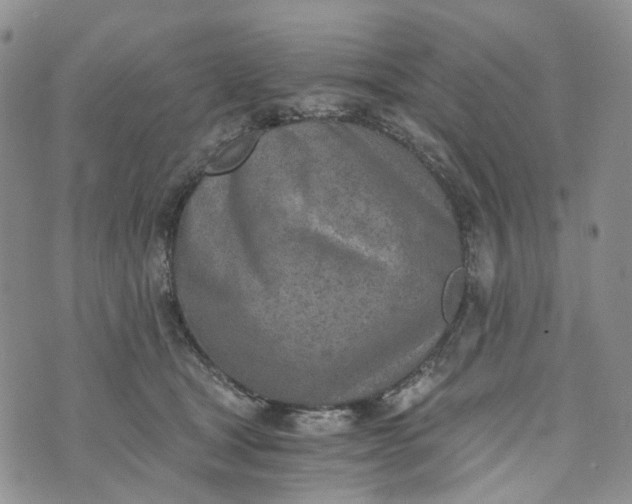 X0000072980465200608041247