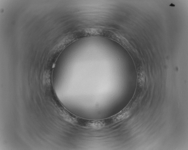 X0000072980466200608041247