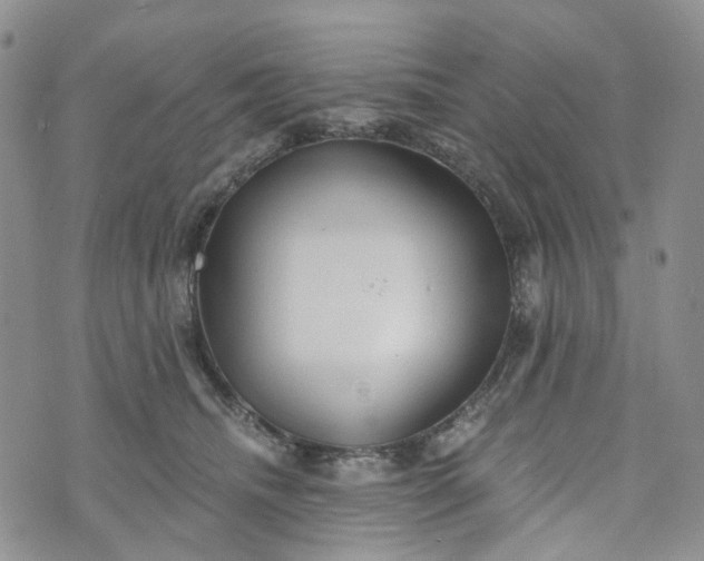 X0000072980468200608041247