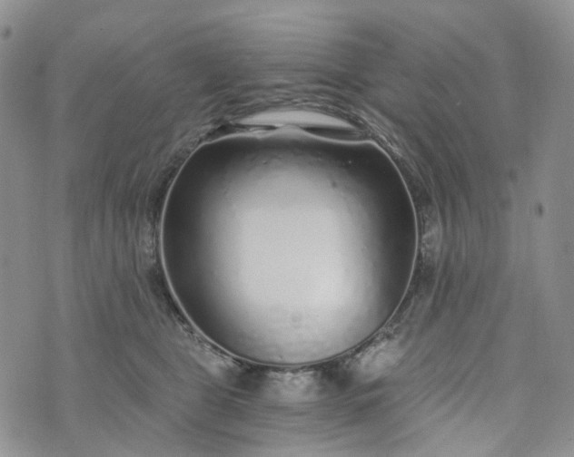 X0000072980469200608041247