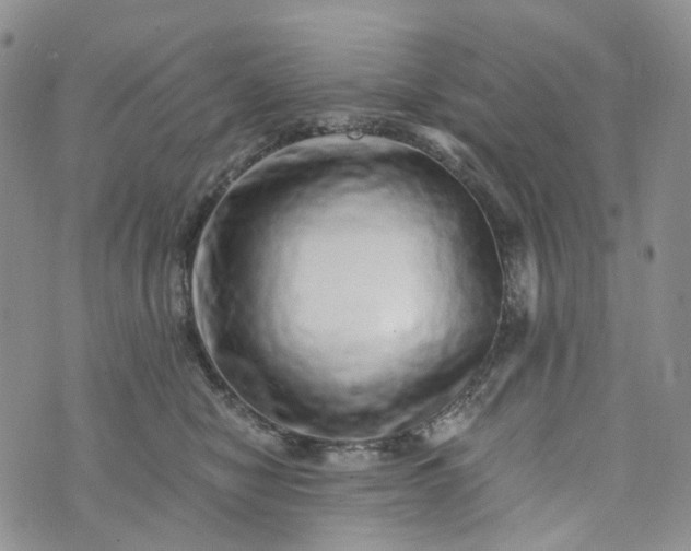 X0000072980470200608041247