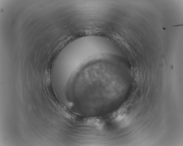 X0000072980471200608041247