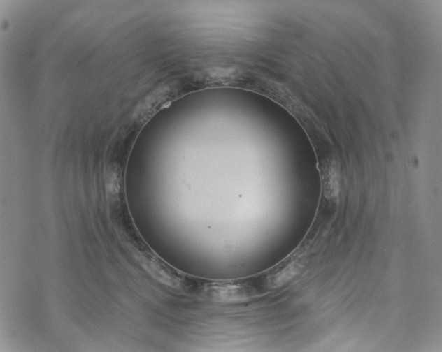 X0000072980472200608041247