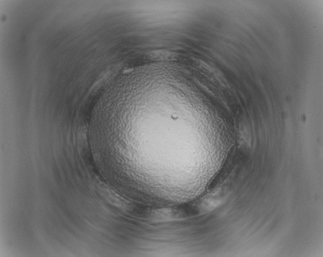 X0000072980473200608041247