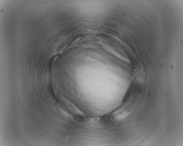 X0000072980474200608041247