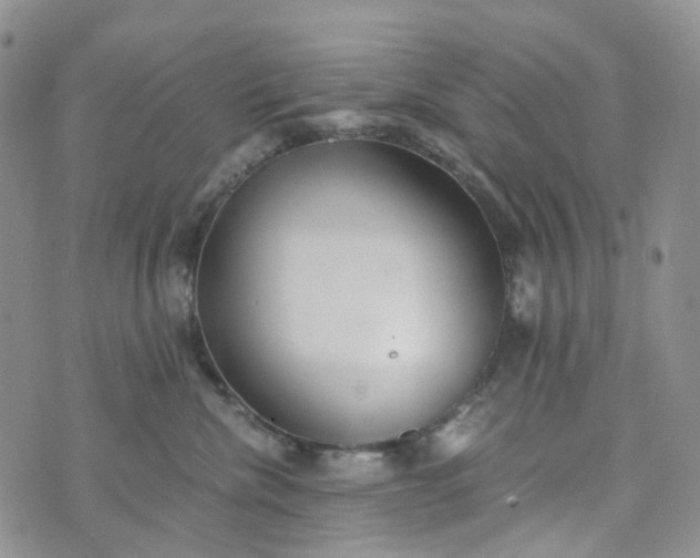 X0000072980476200608041248