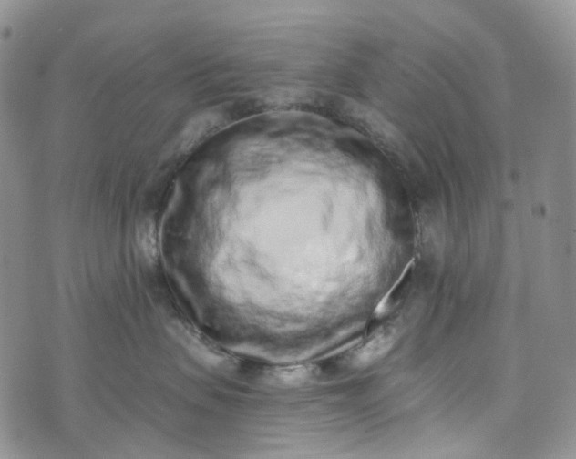 X0000072980479200608041248