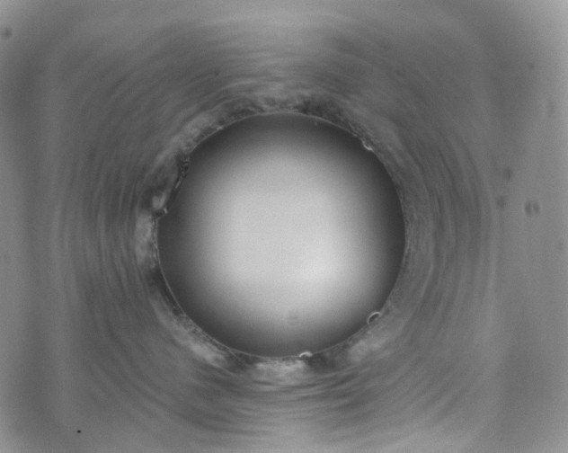 X0000072980480200608041248