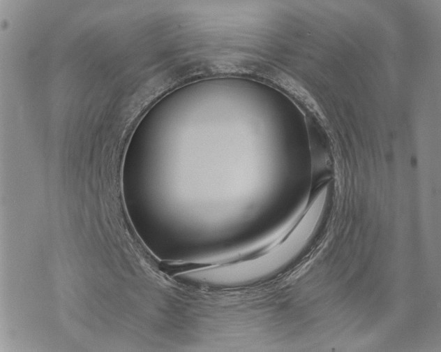 X0000072980481200608041247