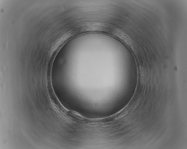 X0000072980482200608041247