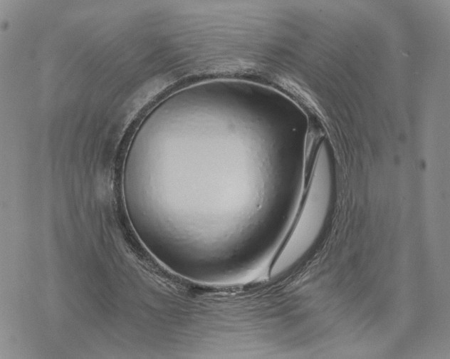 X0000072980483200608041247