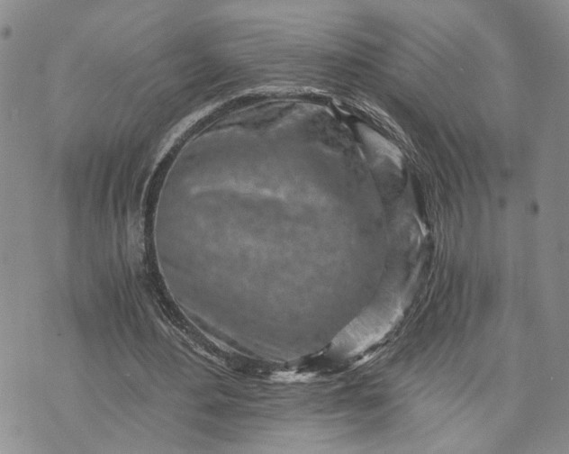 X0000072980484200608041247