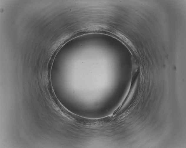 X0000072980485200608041247