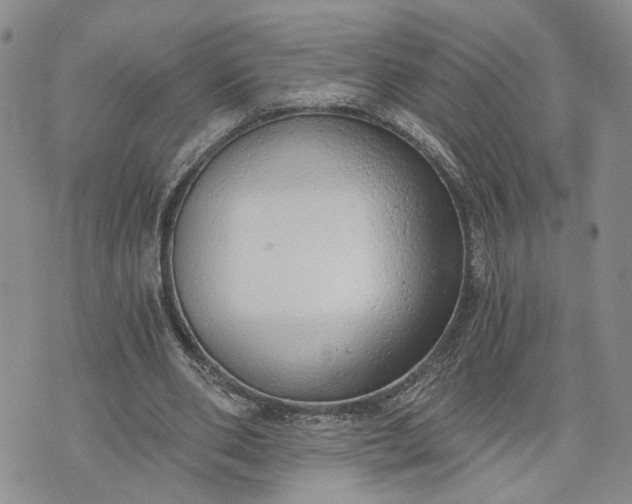 X0000072980486200608041247