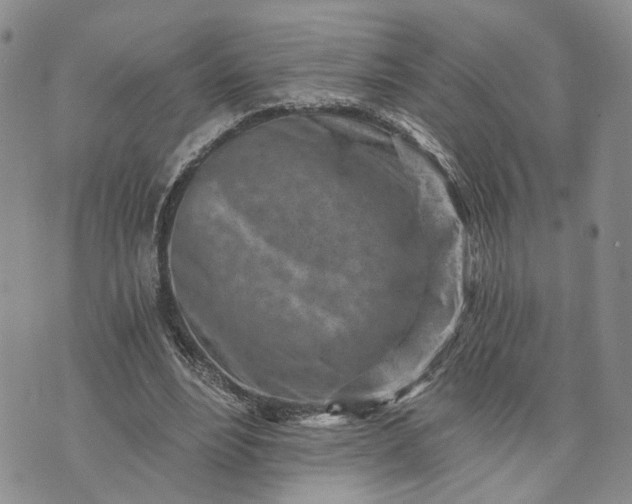 X0000072980488200608041247