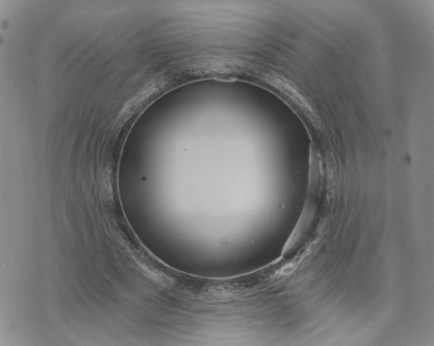 X0000072980489200608041247