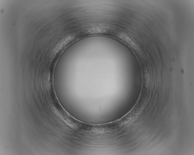 X0000072980490200608041247