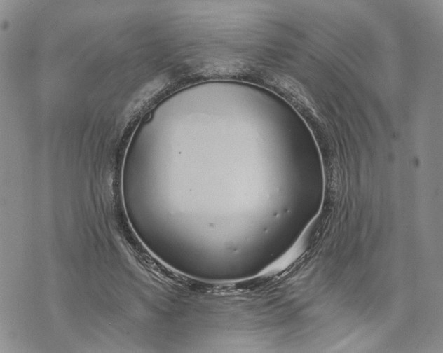 X0000072980491200608041247