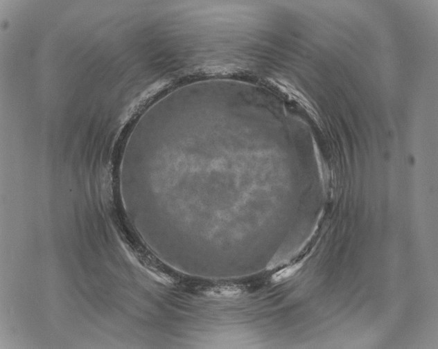 X0000072980492200608041247