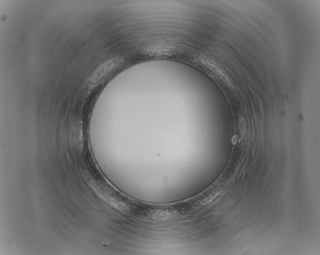 X0000072980494200608041247